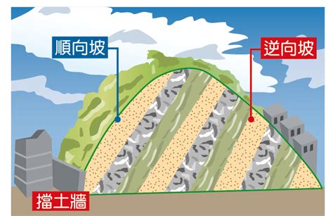 順向坡逆向坡分辨|恍神？逆衝百米撞4車 外送騎士跳車逃命